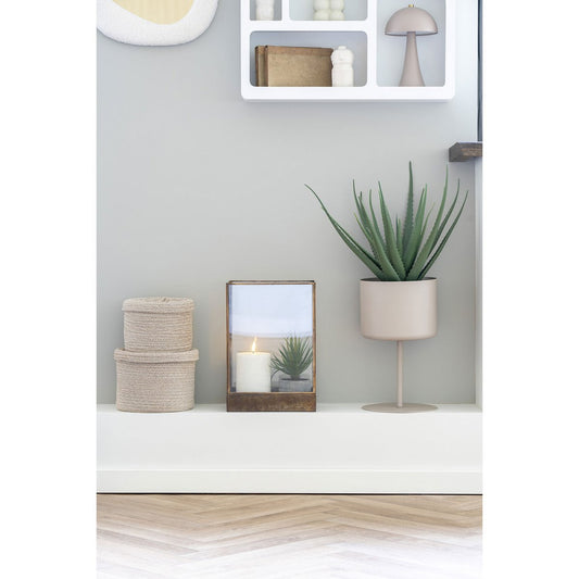 House Nordic ApS - Aloë Vera - Deco Delights