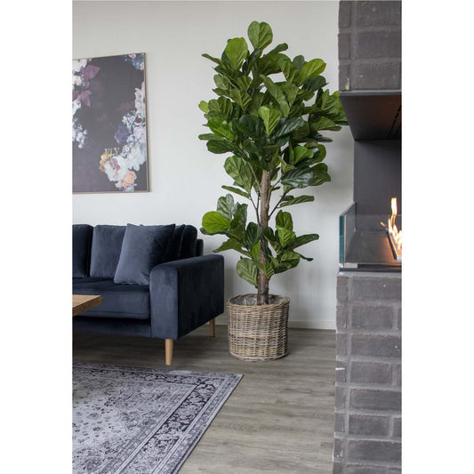 House Nordic ApS - Fiddle Leaf Tree Groen 190 cm - Deco Delights