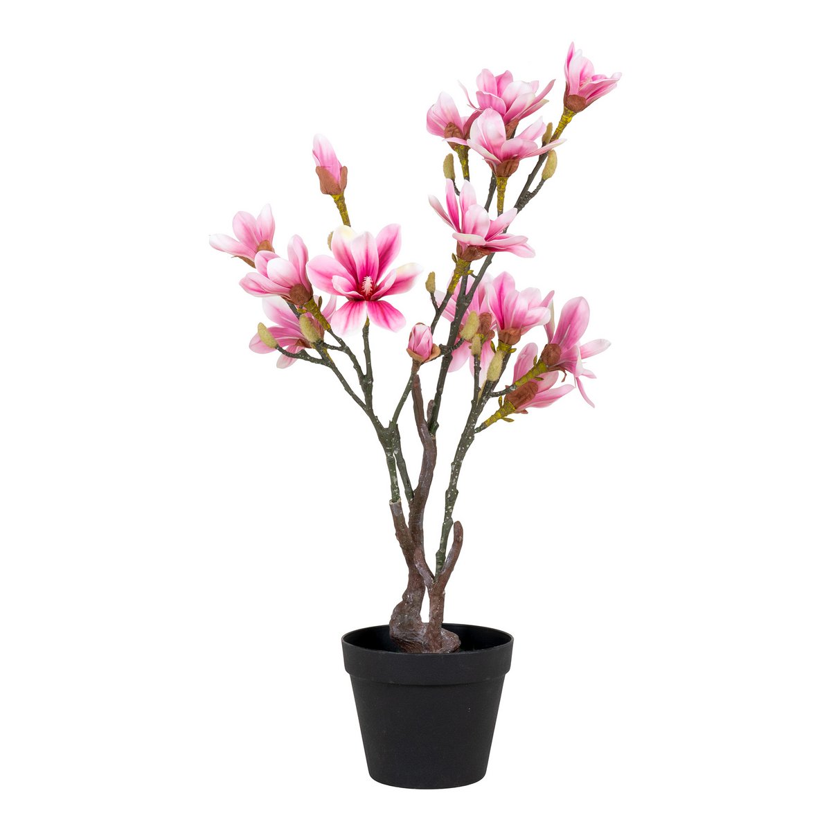 House Nordic ApS - Magnoliaboom - Groen/Rosa, PE-kunststof, H:74 cm - Deco Delights