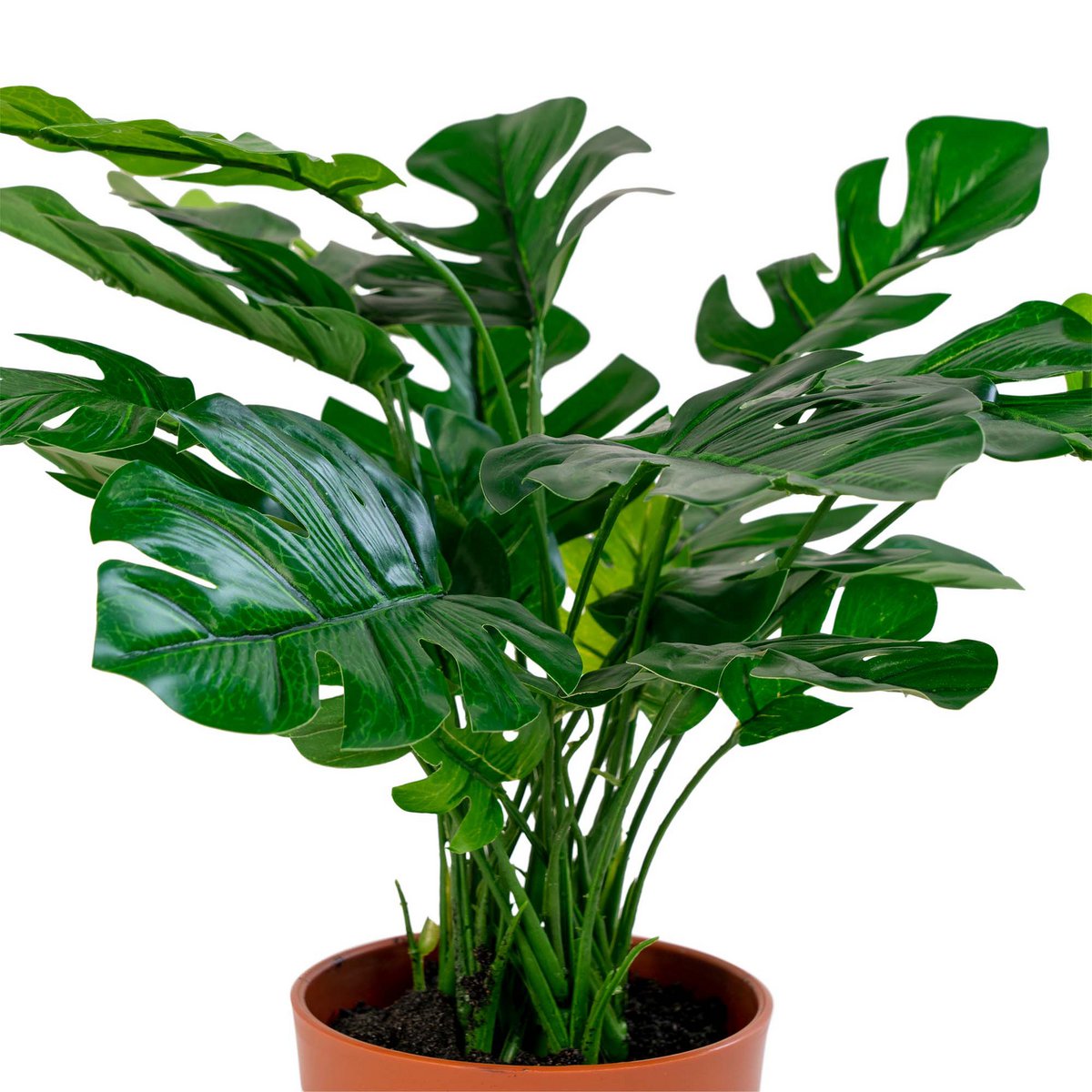 House Nordic ApS - Monstera - Groen, PE-kunststof/polyester/draad/cement, 40x40x45 cm - Deco Delights