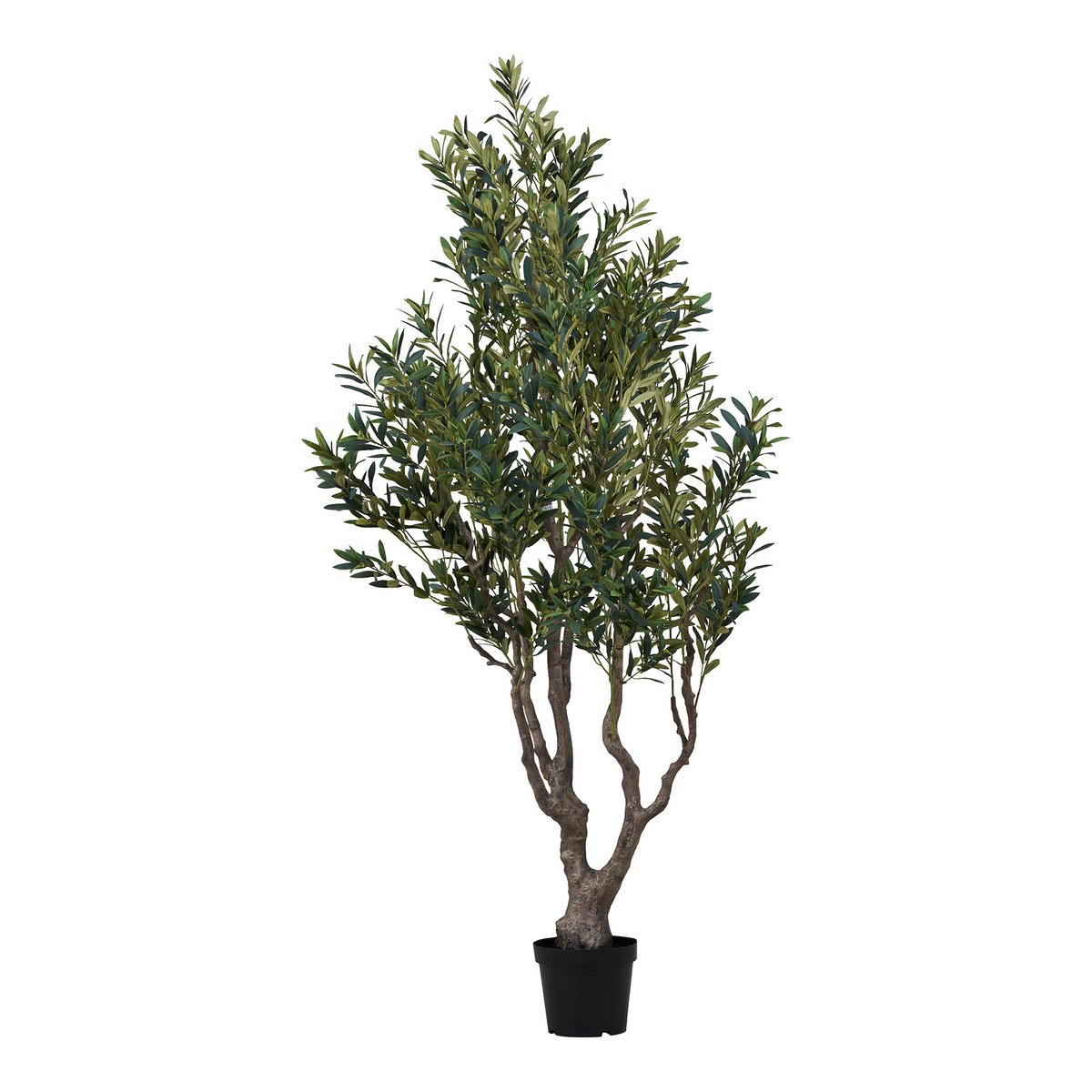 House Nordic ApS - Olijfboom, kunstboom, groen, H:220 cm - Deco Delights