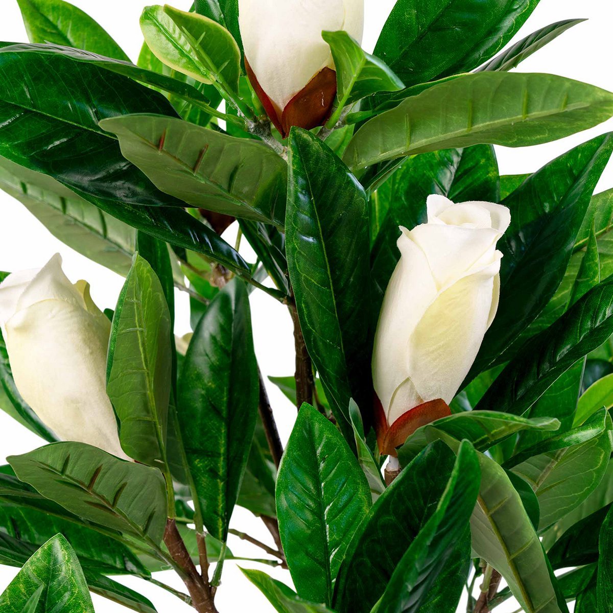 House Nordic ApS - Magnoliaboom - Deco Delights Kunstboom