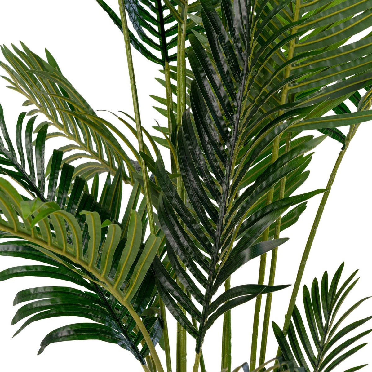 House Nordic ApS - Areca Palm Groen - Deco Delights