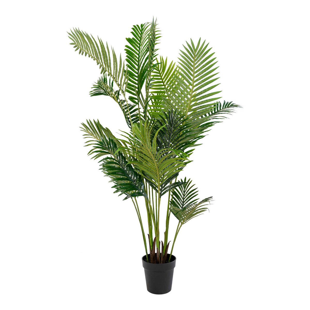 House Nordic ApS - Areca Palm Groen - Deco Delights