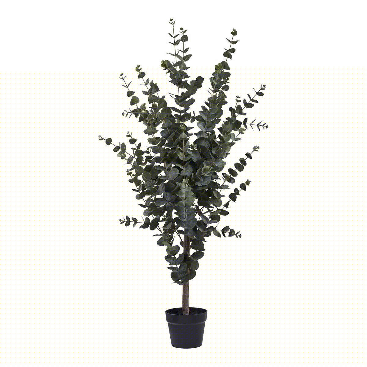 House Nordic ApS - Eucalyptusboom - Deco Delights