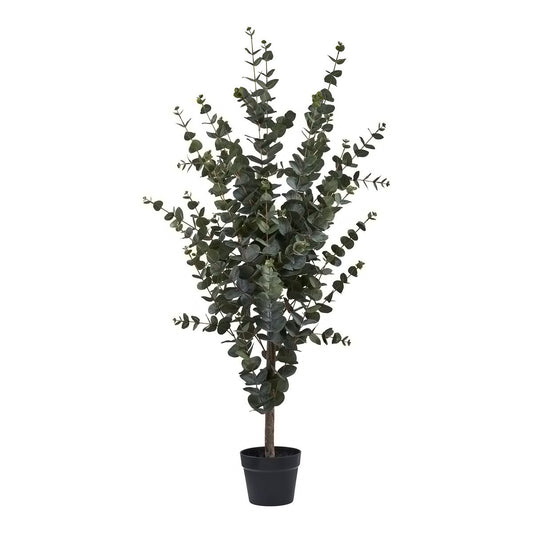 House Nordic ApS - Eucalyptusboom - Deco Delights