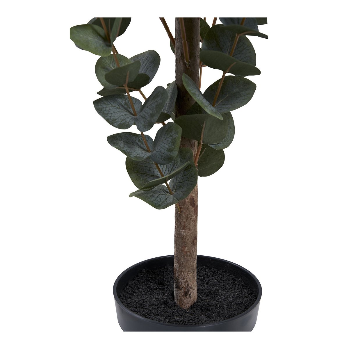 House Nordic ApS - Eucalyptusboom - Deco Delights