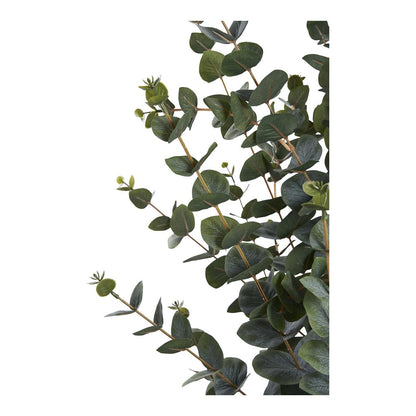 House Nordic ApS - Eucalyptusboom - Groen, PE-kunststof, polyester, draad, cement, 120 cm - Deco Delights