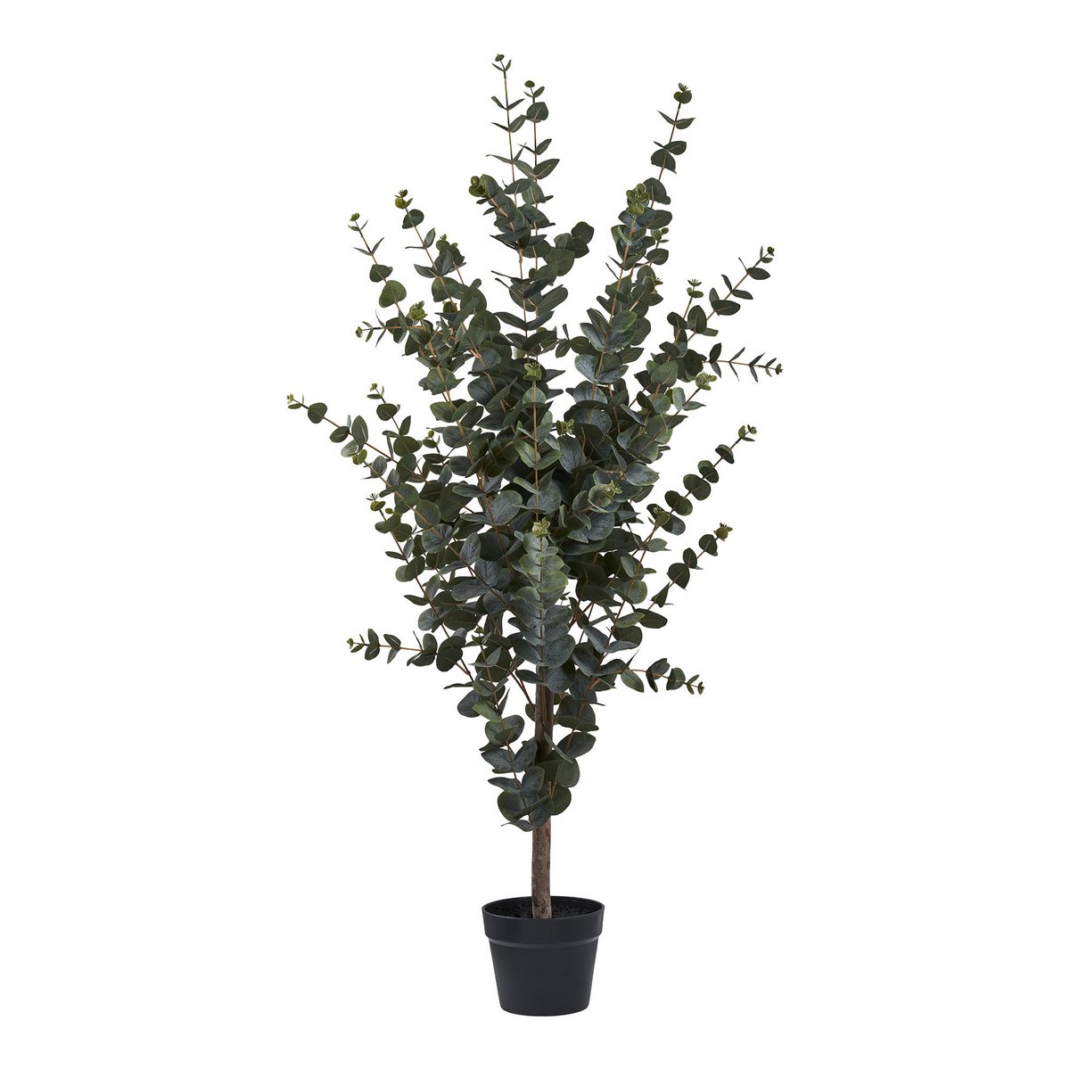 House Nordic ApS - Eucalyptusboom - Groen, PE-kunststof, polyester, draad, cement, 120 cm - Deco Delights