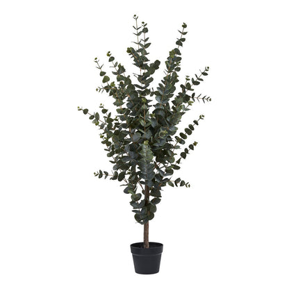 House Nordic ApS - Eucalyptusboom - Groen, PE-kunststof, polyester, draad, cement, 120 cm - Deco Delights