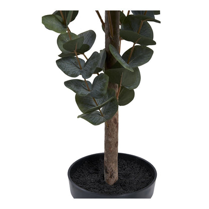 House Nordic ApS - Eucalyptusboom - Groen, PE-kunststof, polyester, draad, cement, 120 cm - Deco Delights