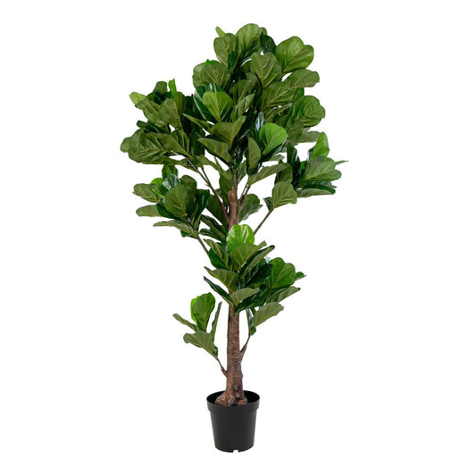 House Nordic ApS - Fiddle Leaf Tree Groen 190 cm - Deco Delights
