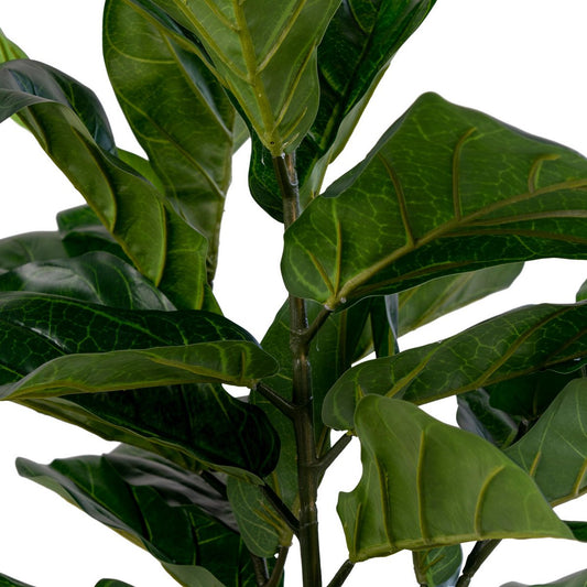 House Nordic ApS - Fiddle Leaf Tree - Groen, PE-kunststof/polyester/cement, 36x46x100 cm - Deco Delights
