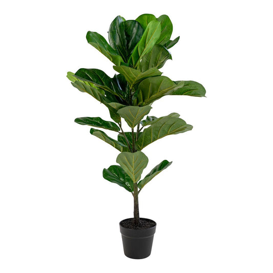 House Nordic ApS - Fiddle Leaf Tree - Groen, PE-kunststof/polyester/cement, 36x46x100 cm - Deco Delights