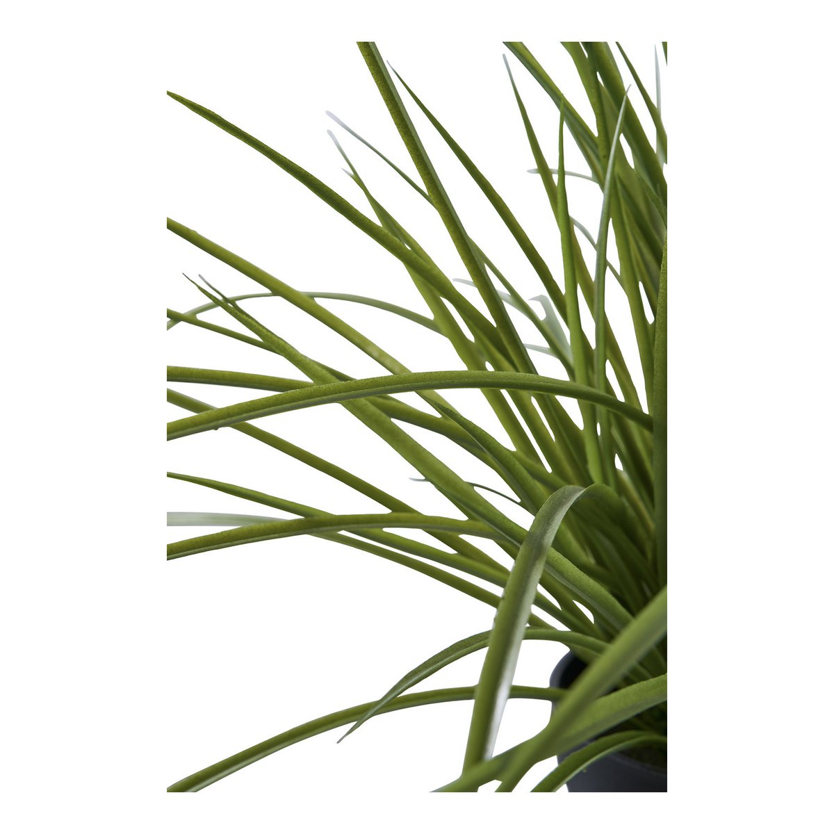 House Nordic ApS - Gras - Deco Delights