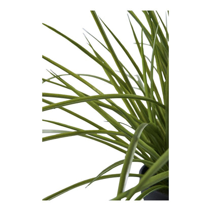 House Nordic ApS - Gras - Deco Delights