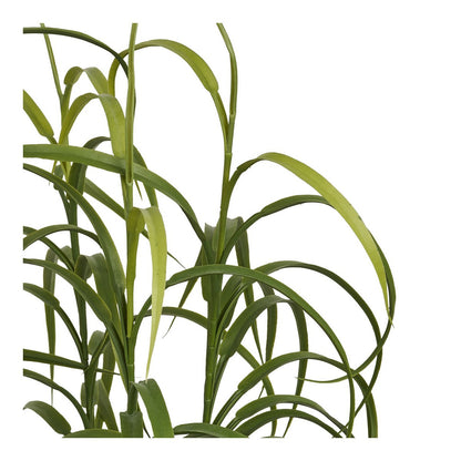 House Nordic ApS - Grasplant, groen, H:68 cm - Deco Delights