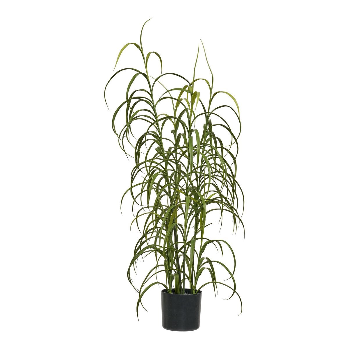 House Nordic ApS - Grasplant, groen, H:68 cm - Deco Delights