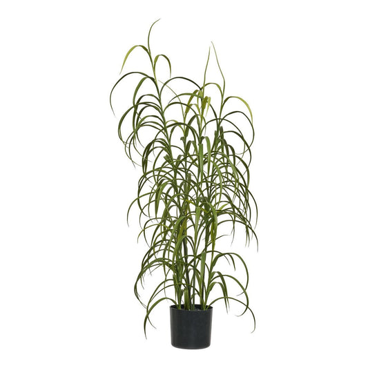 House Nordic ApS - Grasplant, groen, H:68 cm - Deco Delights