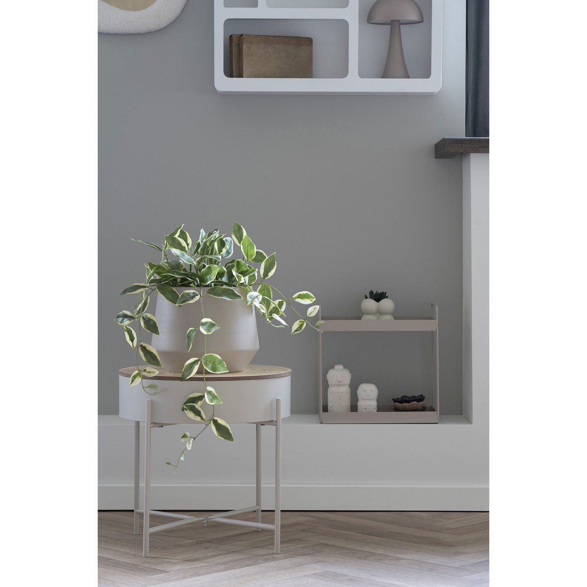 House Nordic ApS - Hoya Carnosa - Deco Delights