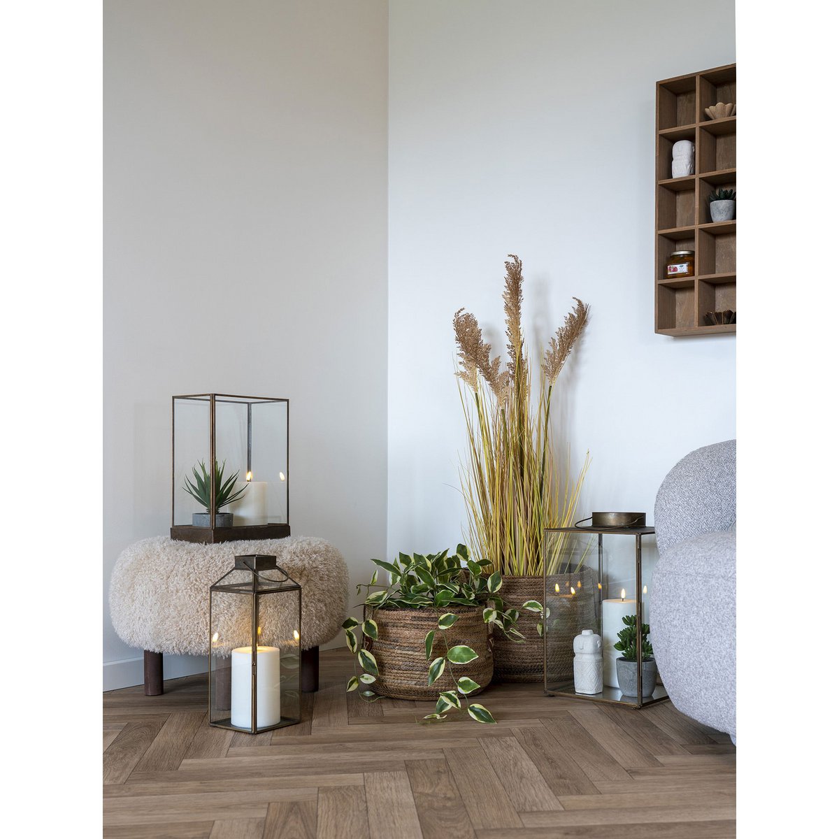 House Nordic ApS - Hoya Carnosa - Deco Delights