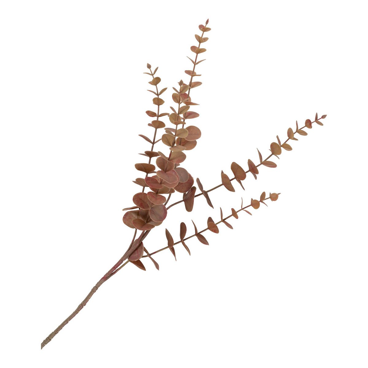 House Nordic ApS - King Protea Boeket - Kunstbloemen, bordeaux mix, 65 cm - Deco Delights