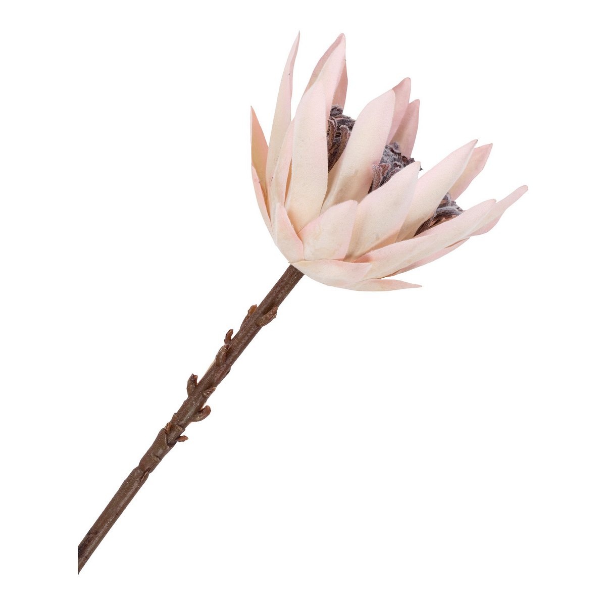 House Nordic ApS - King Protea Boeket - Kunstbloemen, bordeaux mix, 65 cm - Deco Delights