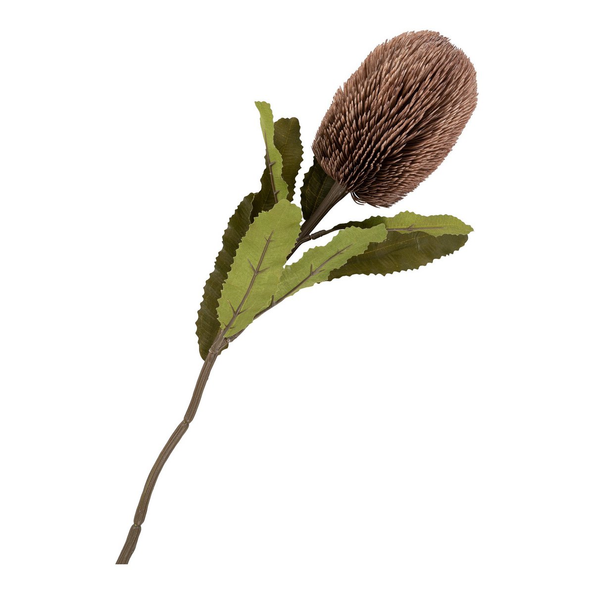 House Nordic ApS - King Protea Boeket - Kunstbloemen, bordeaux mix, 65 cm - Deco Delights