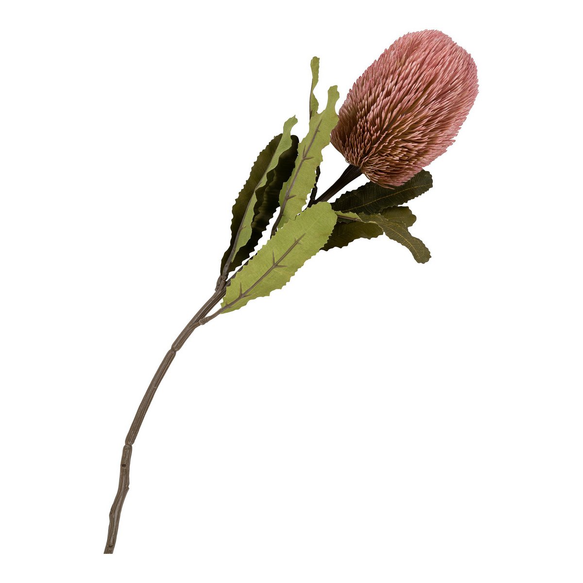 House Nordic ApS - King Protea Boeket - Kunstbloemen, rozenmix, 74 cm - Deco Delights