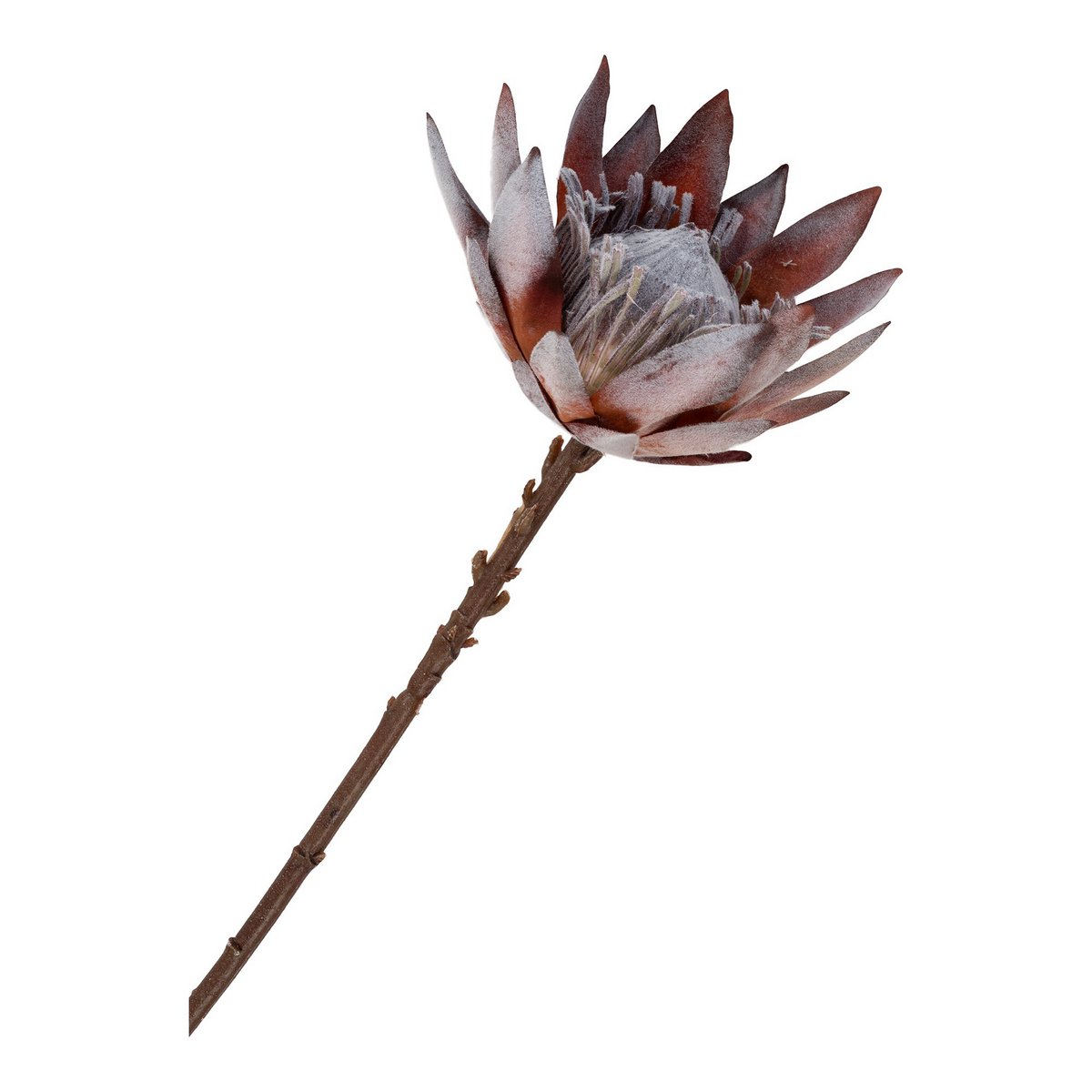 House Nordic ApS - King Protea Boeket - Kunstbloemen, rozenmix, 74 cm - Deco Delights