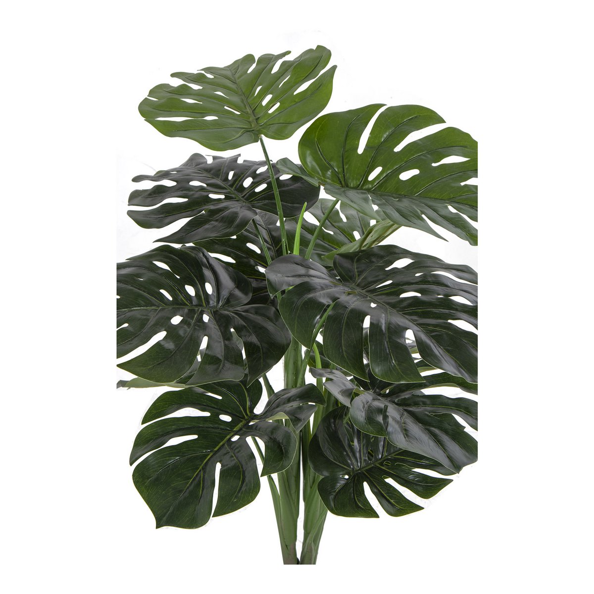 House Nordic ApS - Monstera - Groen, PE-kunststof/polyester/draad/cement, 17x18x90 cm - Deco Delights