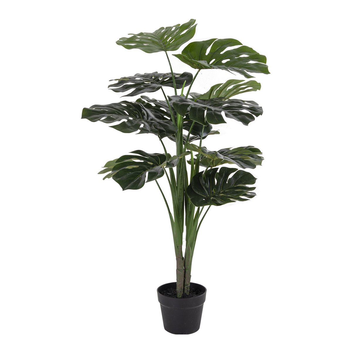 House Nordic ApS - Monstera - Groen, PE-kunststof/polyester/draad/cement, 17x18x90 cm - Deco Delights