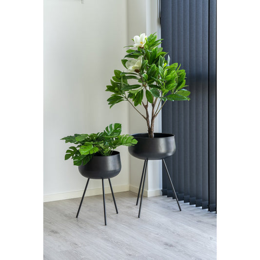 House Nordic ApS - Monstera - Groen, PE-kunststof/polyester/draad/cement, 40x40x45 cm - Deco Delights