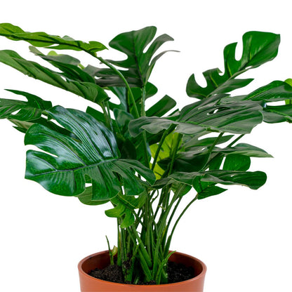 House Nordic ApS - Monstera - Groen, PE-kunststof/polyester/draad/cement, 40x40x45 cm - Deco Delights