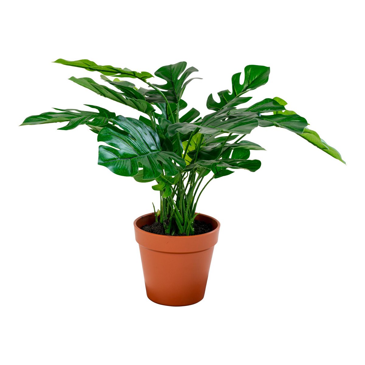 House Nordic ApS - Monstera - Groen, PE-kunststof/polyester/draad/cement, 40x40x45 cm - Deco Delights