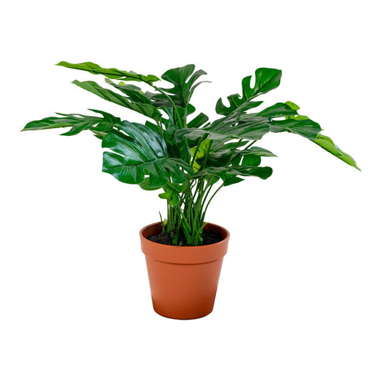 House Nordic ApS - Monstera - Groen, PE-kunststof/polyester/draad/cement, 40x40x45 cm - Deco Delights