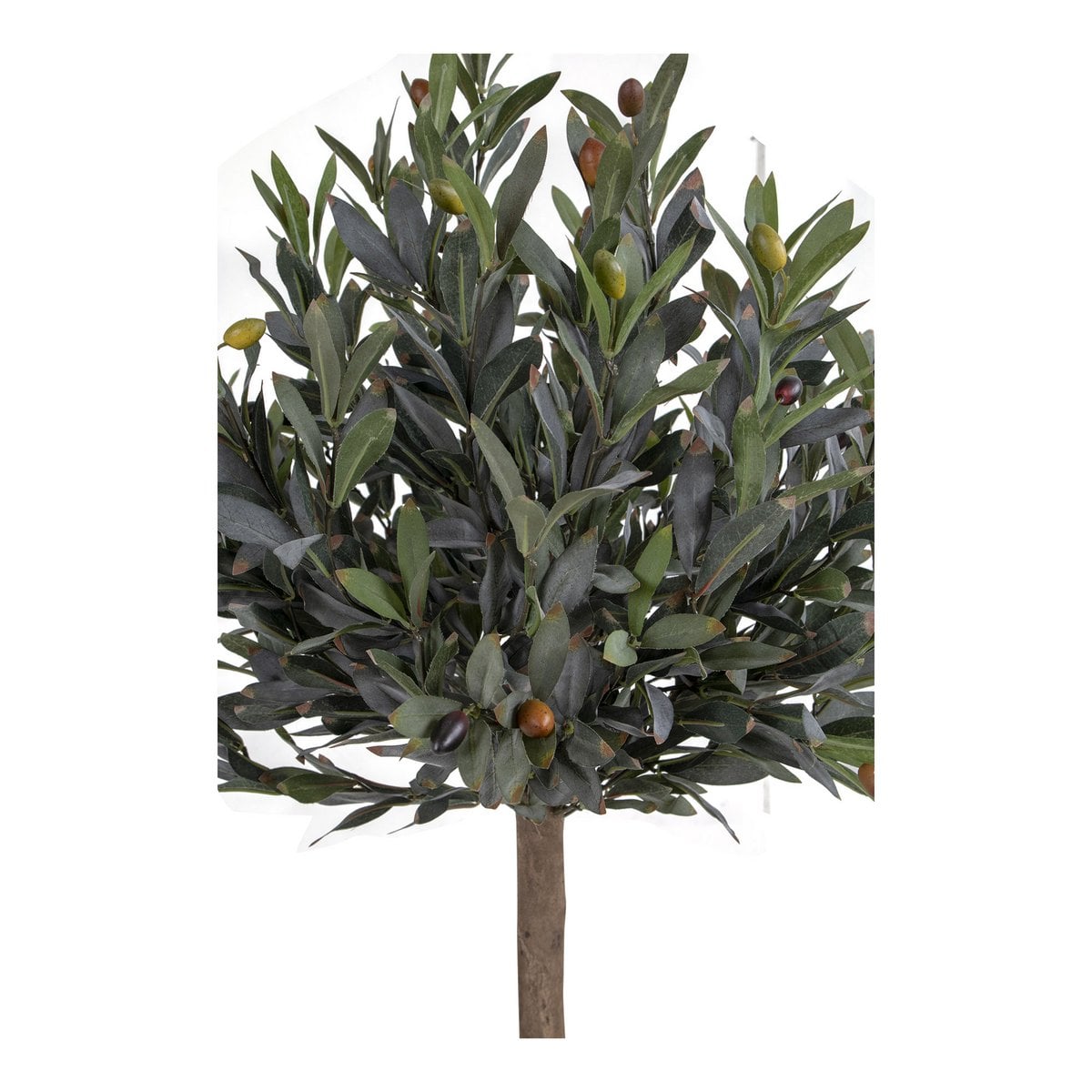 House Nordic ApS - Olijfboom - Groen, PE kunststof/polyester, 43x47x120 cm - Deco Delights