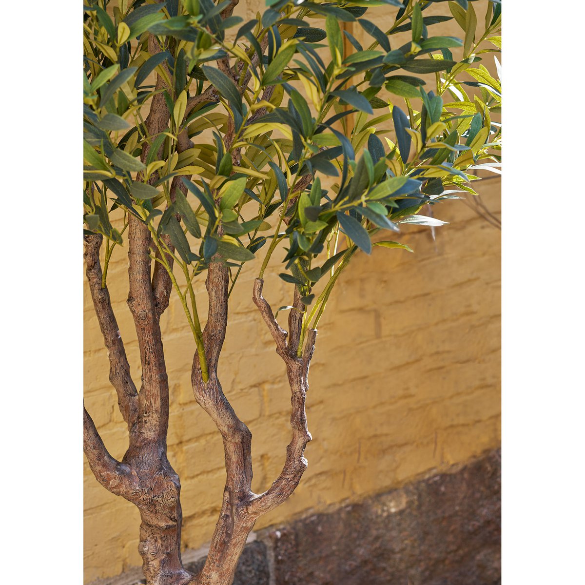 House Nordic ApS - Olijfboom, kunstboom, groen, H:220 cm - Deco Delights