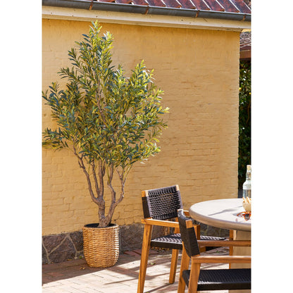 House Nordic ApS - Olijfboom, kunstboom, groen, H:220 cm - Deco Delights