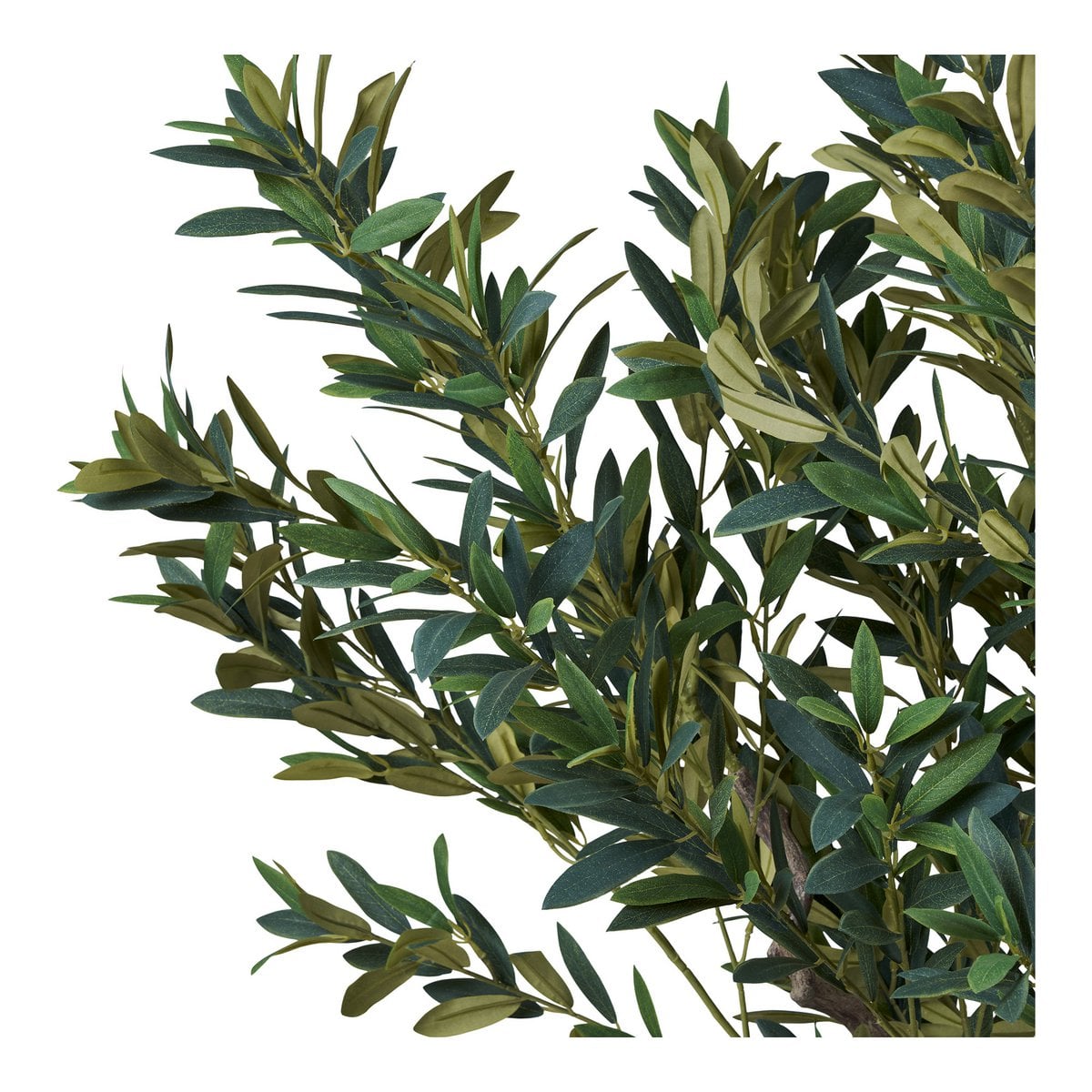 House Nordic ApS - Olijfboom, kunstboom, groen, H:220 cm - Deco Delights