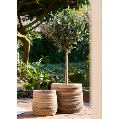 House Nordic ApS - Olive Kunstboom Groen - Deco Delights Kunstboom