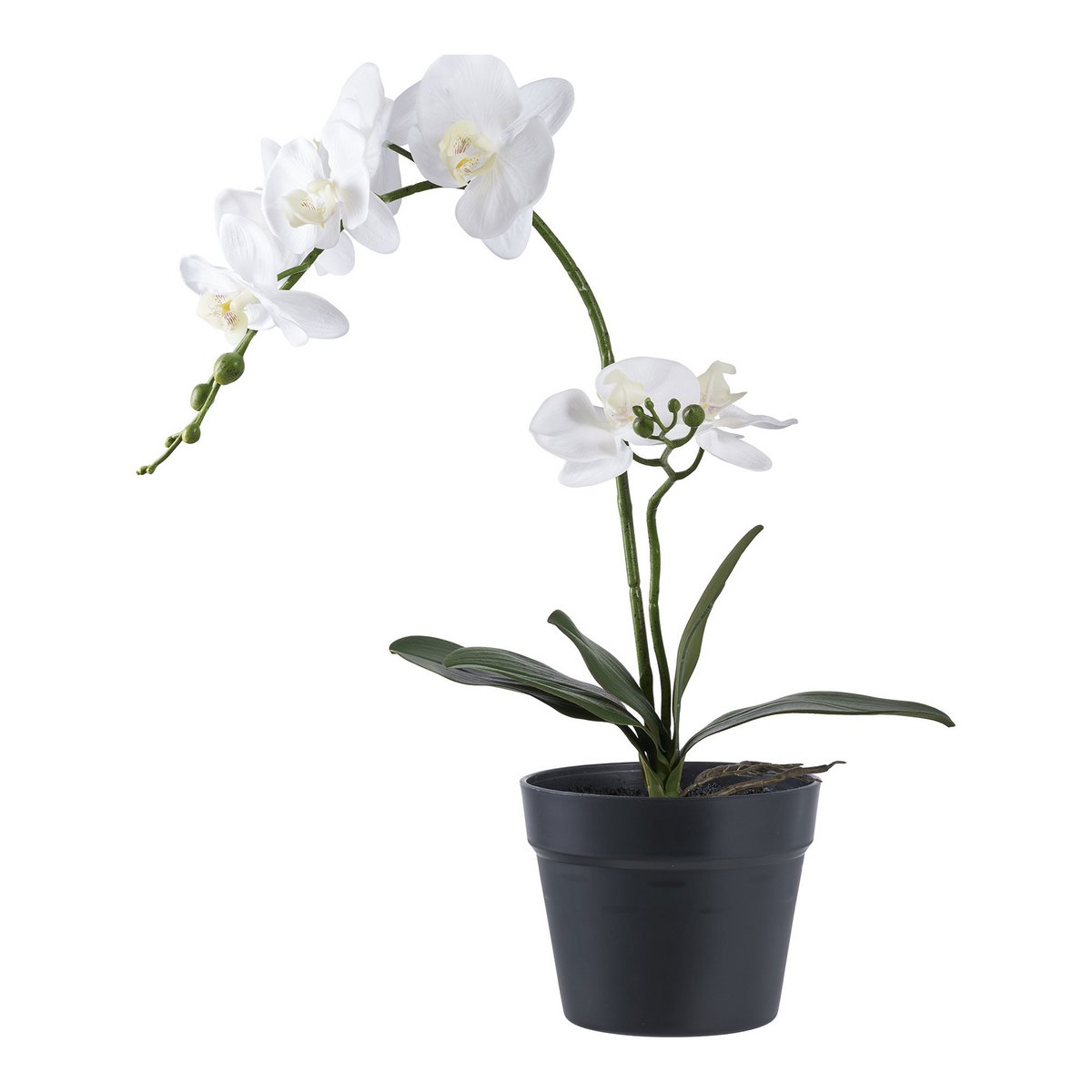 House Nordic ApS - Orchidee - Deco Delights