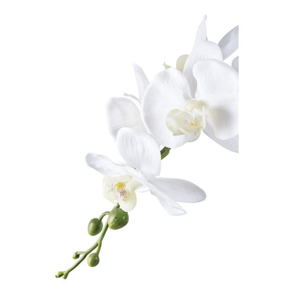 House Nordic ApS - Orchidee - Deco Delights