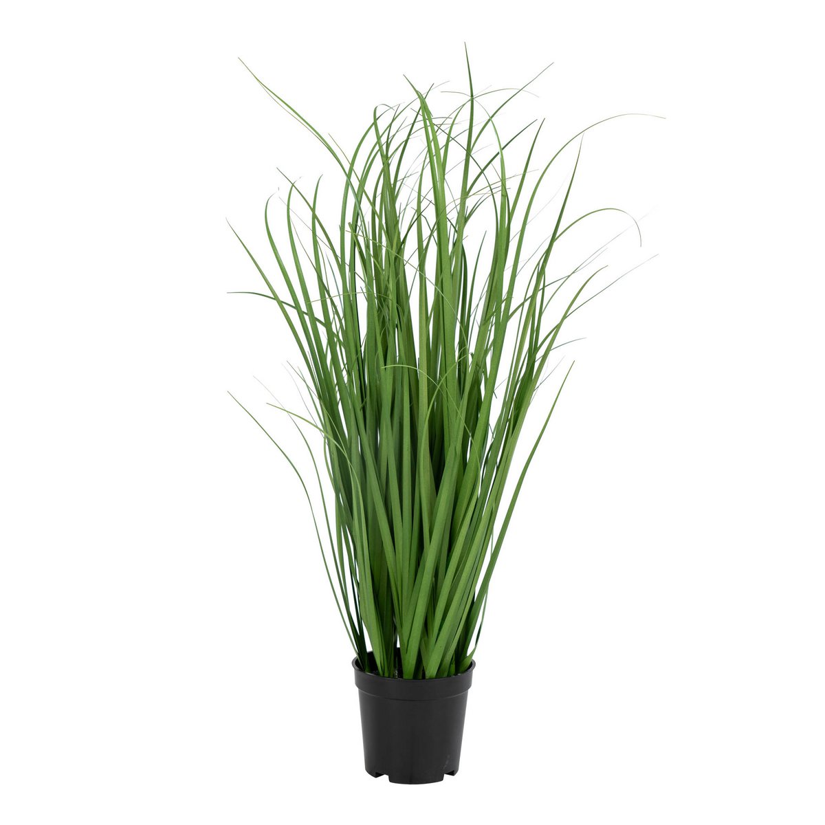 House Nordic ApS - Poa Gras - Groen, PE Kunststof/Polyester, 30x30x68 cm - Deco Delights