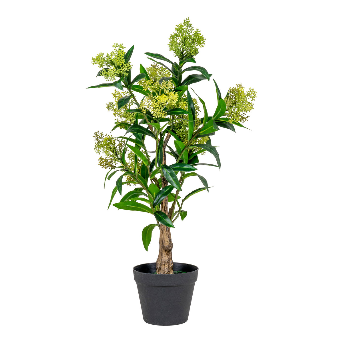 House Nordic ApS - Skimmia Kunstboom Groen - Deco Delights Kunstboom
