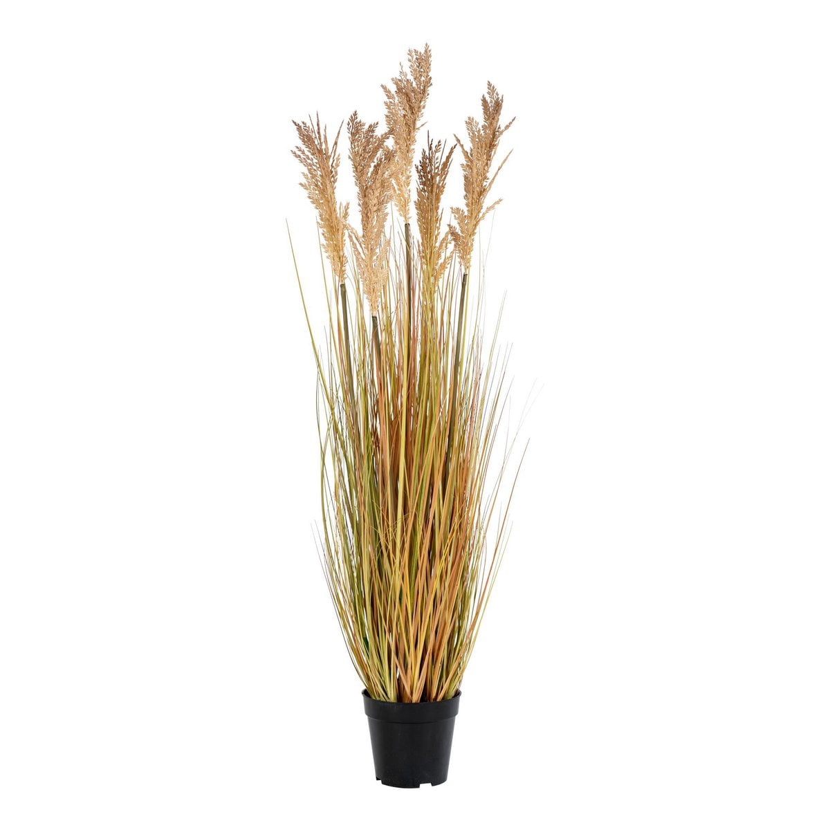 House Nordic ApS - Sorghumgras Kunstplant Naturel - Deco Delights