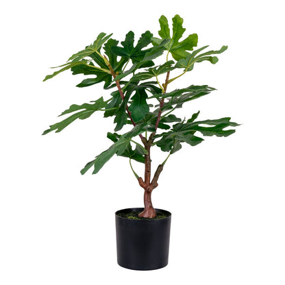 House Nordic ApS - Vijgenboom - Groen, PE-kunststof, H:60 cm - Deco Delights