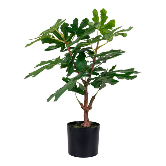 House Nordic ApS - Vijgenboom - Groen, PE-kunststof, H:60 cm - Deco Delights