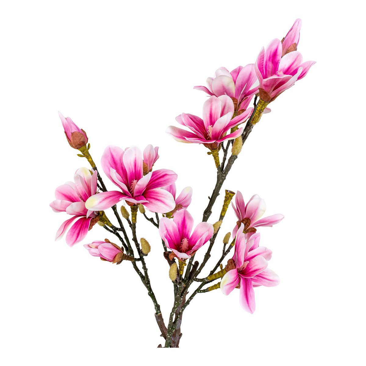 House Nordic ApS - Magnoliaboom - Groen, Roze - Deco Delights Kunstplant
