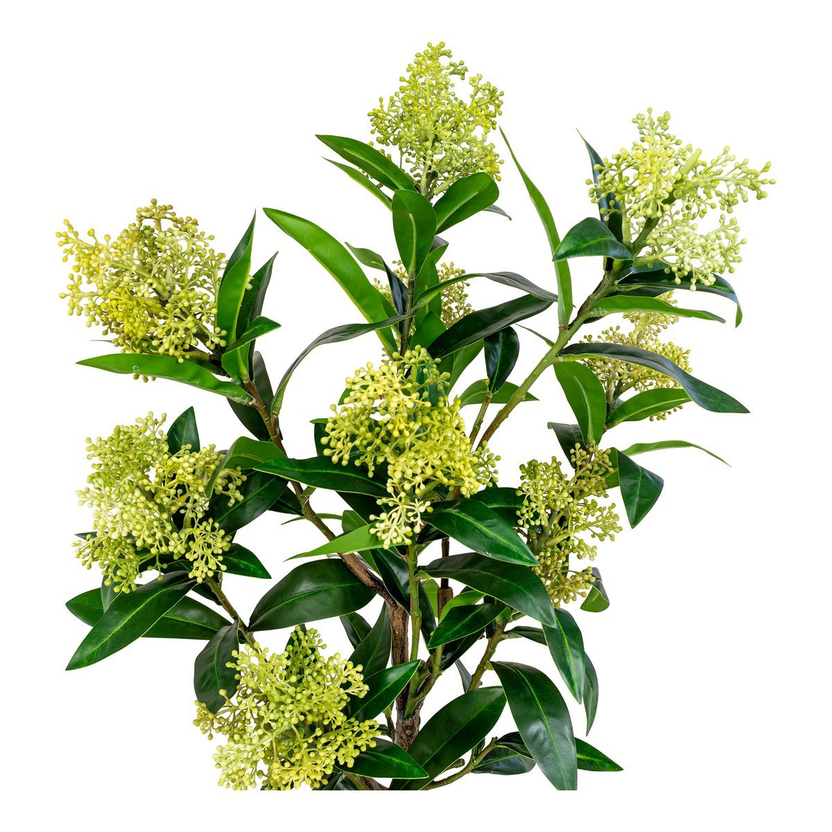 House Nordic ApS - Skimmia Boom - Groen - Deco Delights Kunstboom